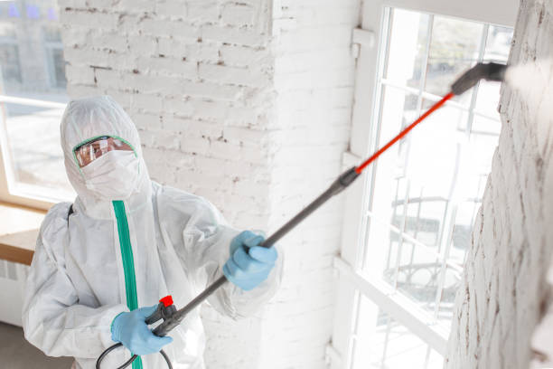 Best Residential Mold Inspection & Testing  in Firthcliffe, NY