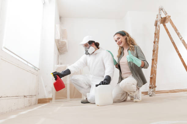 Best Mold Removal for HVAC Installations  in Firthcliffe, NY