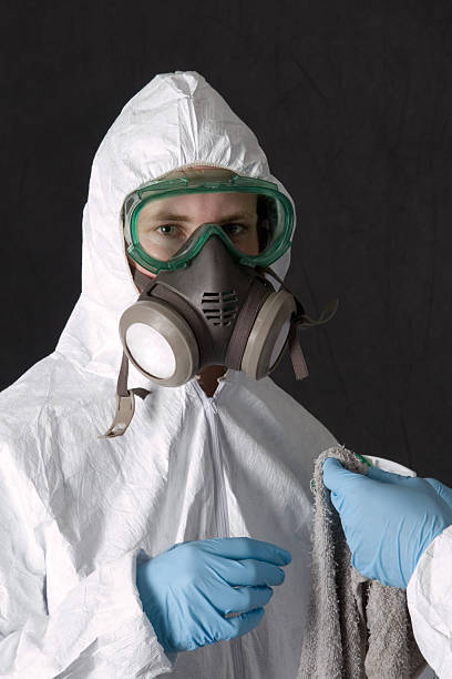 Best Post-Remediation Verification Testing  in Firthcliffe, NY